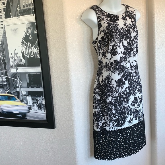 SLNY SL New York sleeveless sheath, cream, black roses, laser cut trim. 8 EUC - Picture 3 of 17